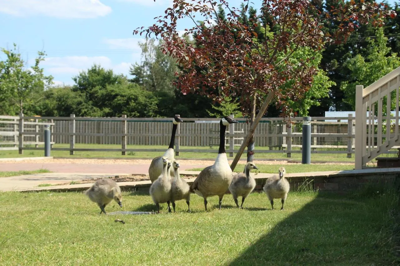 Waterside Lodges Cambridge Cambridge (Cambridgeshire)